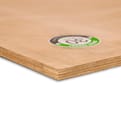 Okoume garantplex 250x122cm FSC product photo