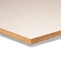 Ecopaint Okoume WBP 250x122cm product photo